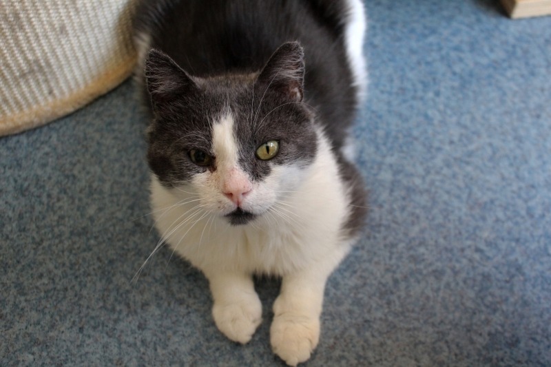 362297694_684695443702950_7116484230139246216_n