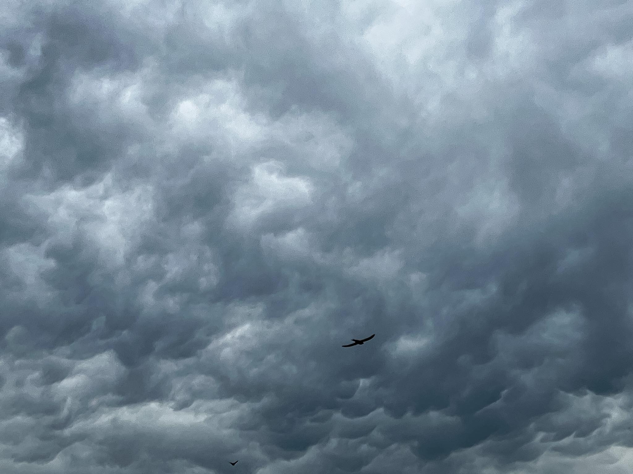 364196060_1058839641754341_5422043186323451505_n