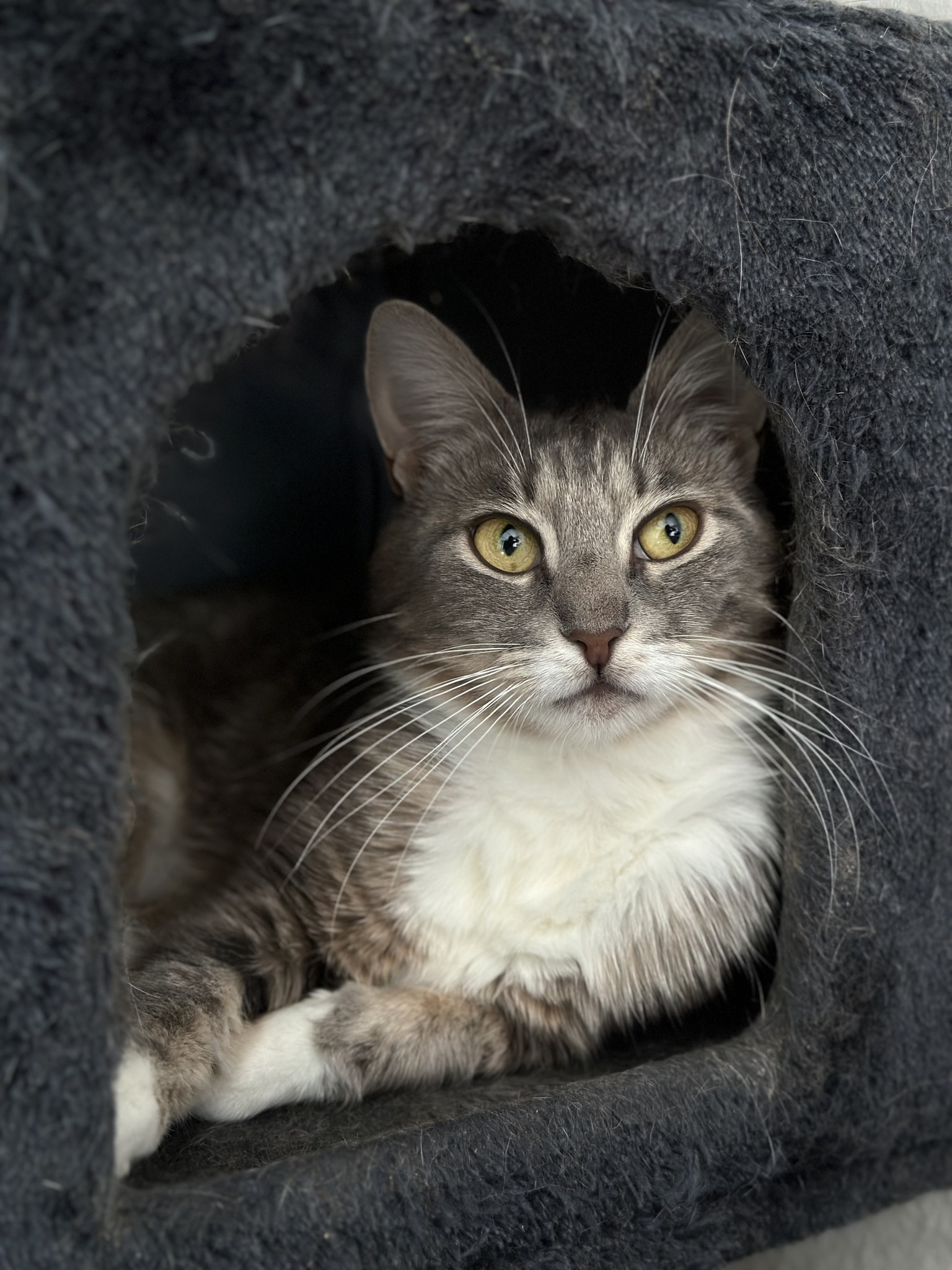 365165849_684721280367033_2231881712093641514_n