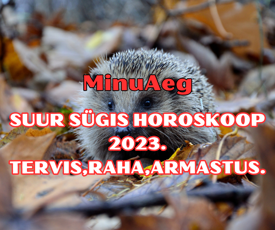SUUR SÜGISE HOROSKOOP 2023. TERVIS,RAHA,ARMASTUS. (1)