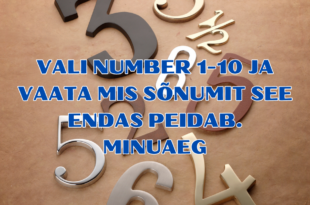 VALI NUMBER 1 10 JA VAATA MIS SONUMIT SEE ENDAS PEIDAB. MINUAEG