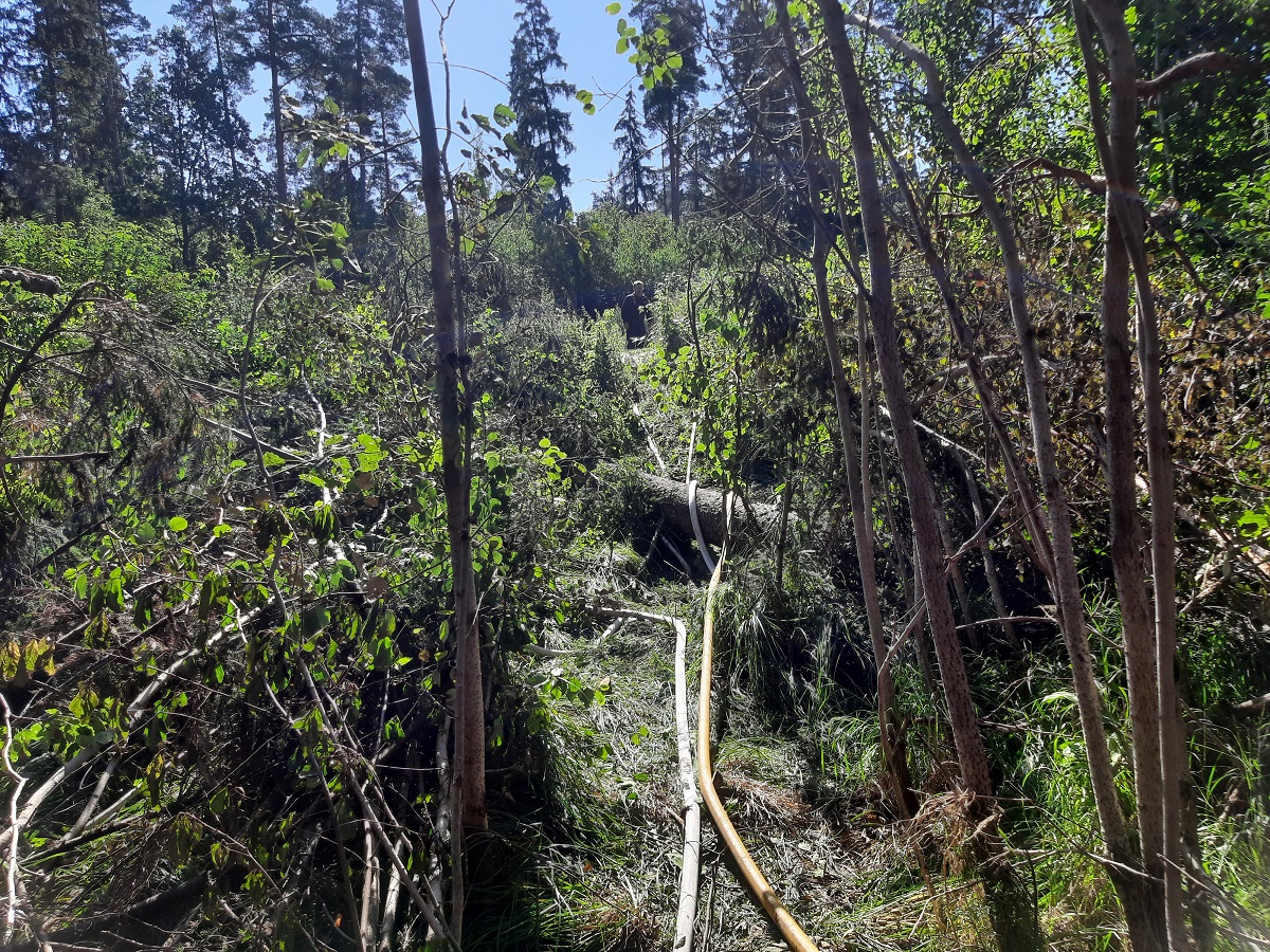 Valga_metsapoleng_12.08.23_2[452]