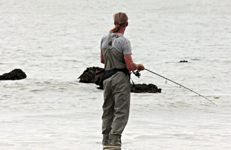 angler-g56b3a8b77_1280