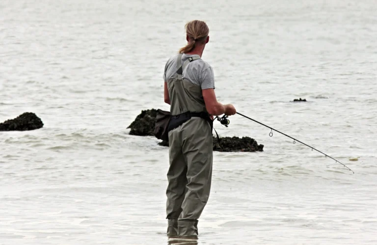 angler-g56b3a8b77_1280