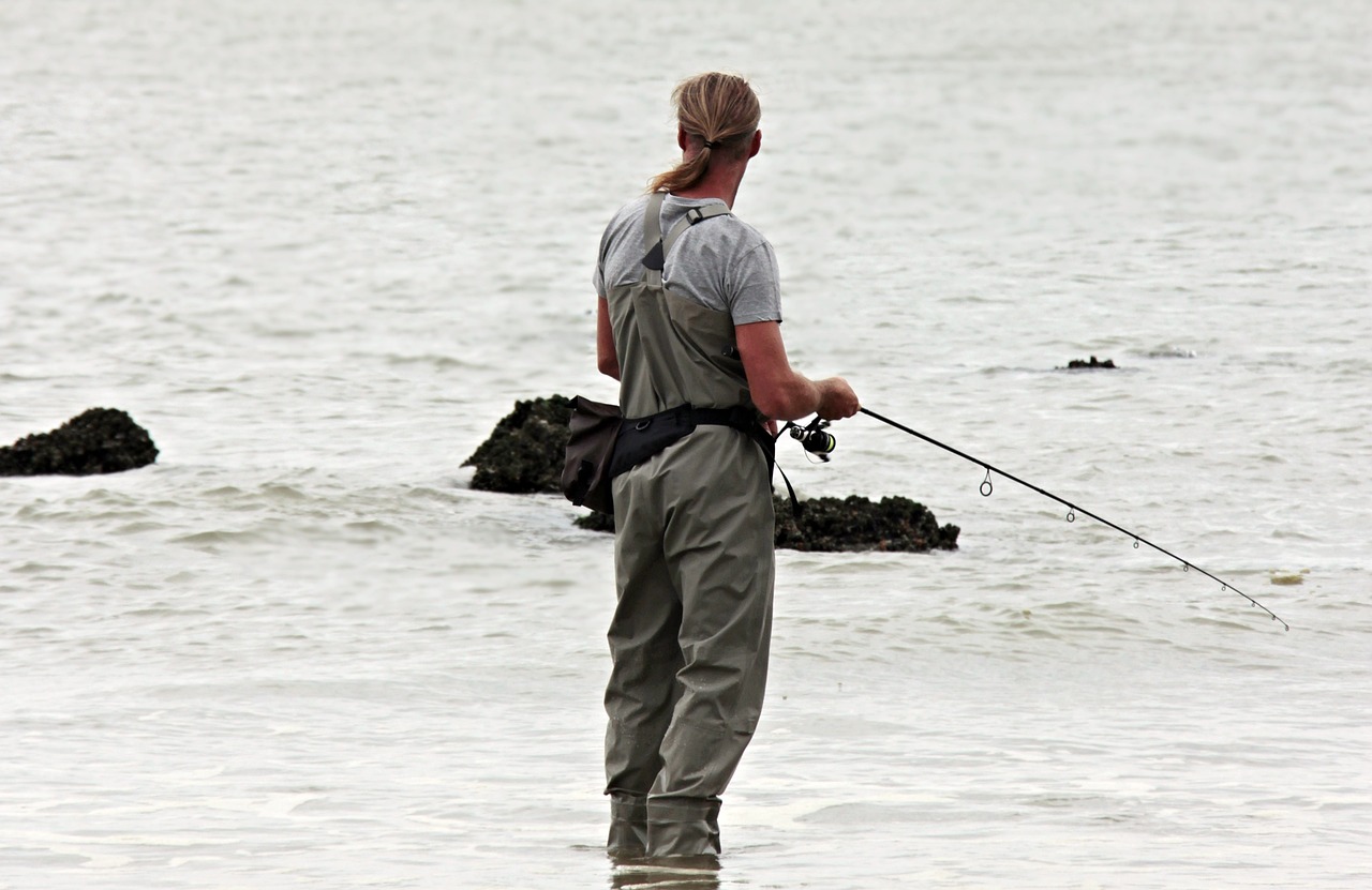 angler-g56b3a8b77_1280