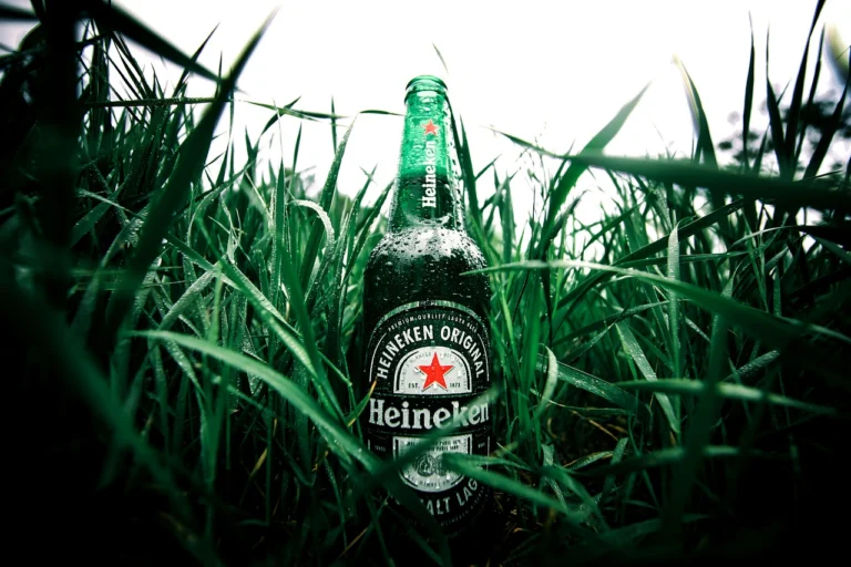 beer-5372914_1280