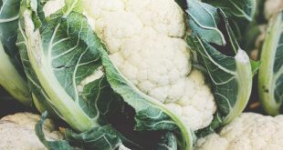 cauliflower 4637372 1280