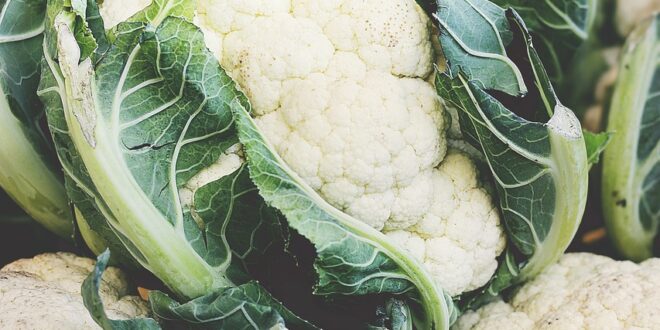 cauliflower 4637372 1280