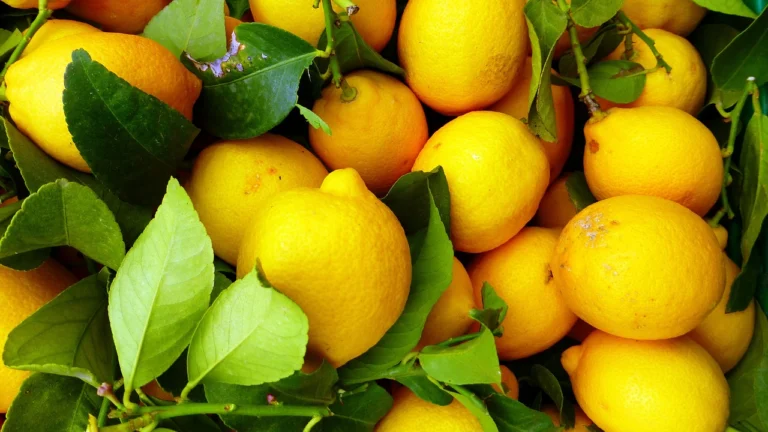 fruit-g9a6ab57d4_1280