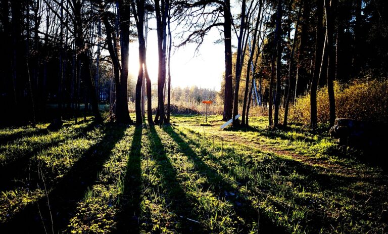 gavle-1018529_1280