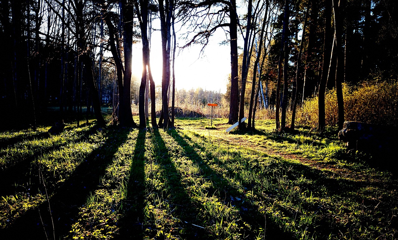gavle-1018529_1280
