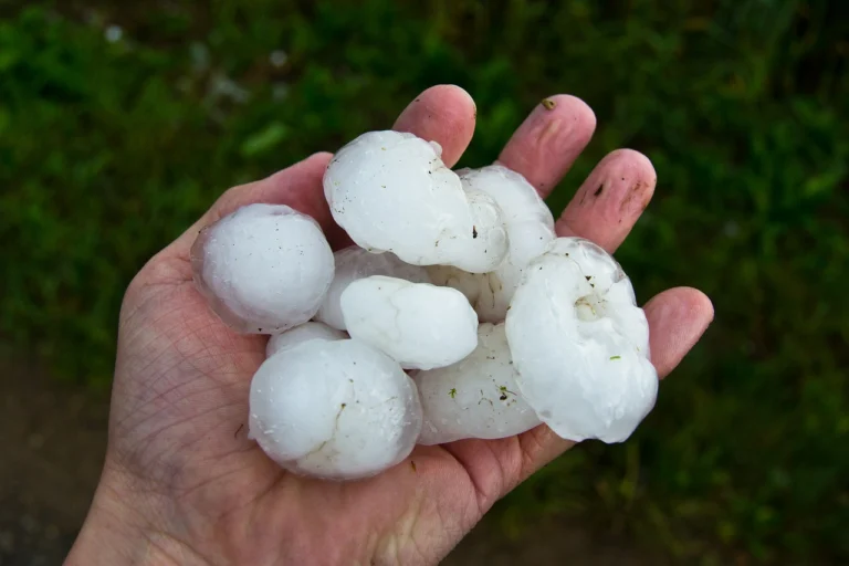 hail-3174127_1280