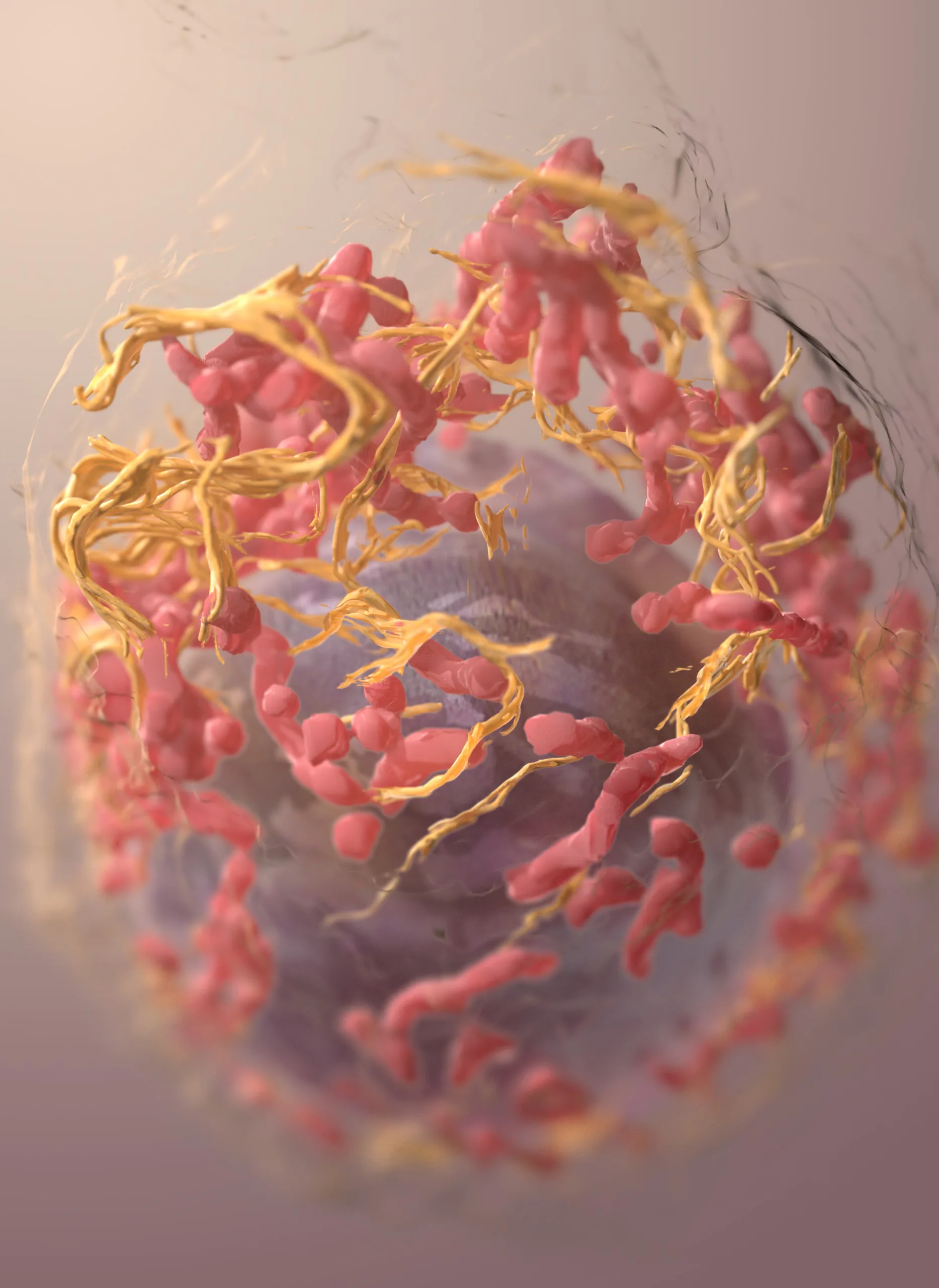 national-cancer-institute-p1zy6izFI0M-unsplash