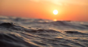 ocean 1867285 1280