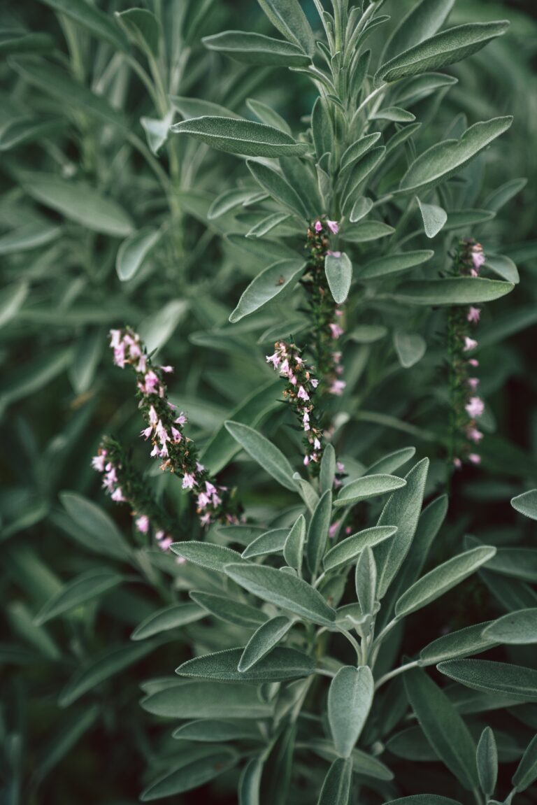pascale-amez-pS-TnPtlhbw-unsplash