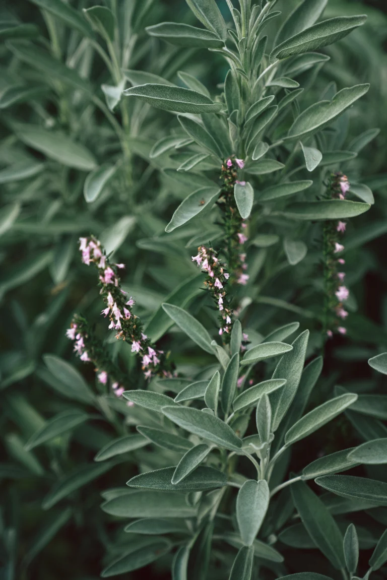 pascale-amez-pS-TnPtlhbw-unsplash