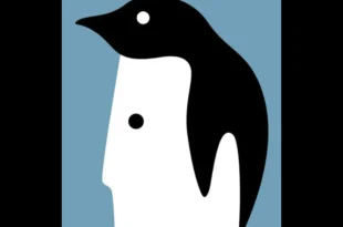 pingu