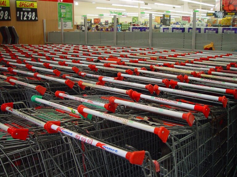 shopping-venture-3873_1280