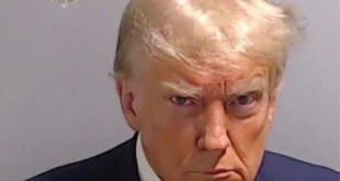 trump mug