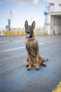 374282639_605984885055945_6609010206704354681_n