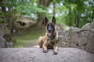 375196444_647083020885264_4147449204575775210_n