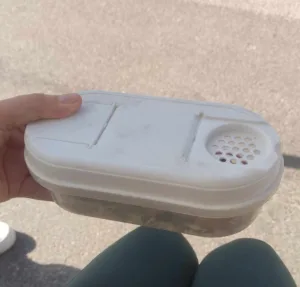 375762448_324306396634764_4245964526082529773_n