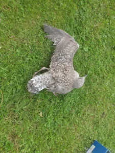 376744268_6596877743713195_5858222684808019571_n