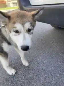 384765348_703257285163304_6044322994949126692_n