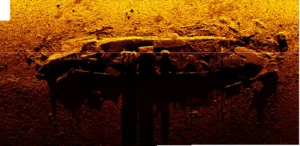 53156706128_c1392ea337_b