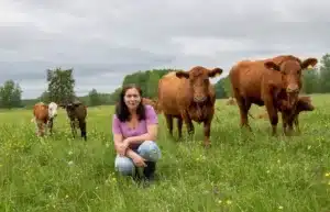 Airi-Külvet-696x447