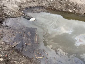 Merepoolne truup[617]