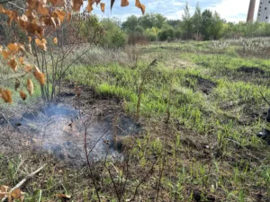 Oru_maastikupoleng_27.09.23[759]