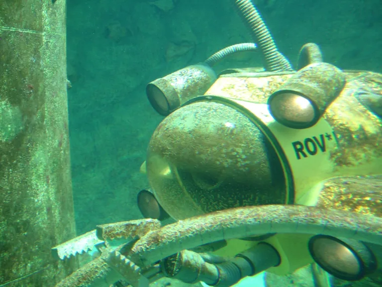 dive-23030_1280