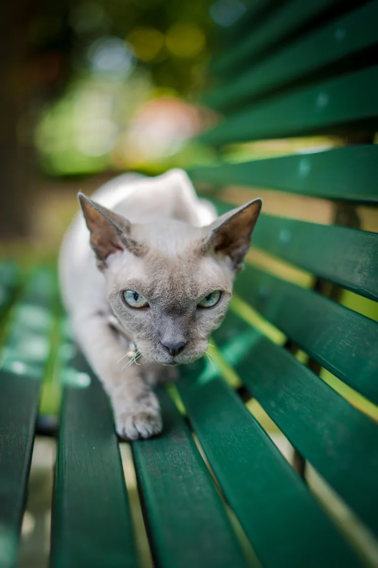 harry-cunningham-8pUpCQuU3Mo-unsplash