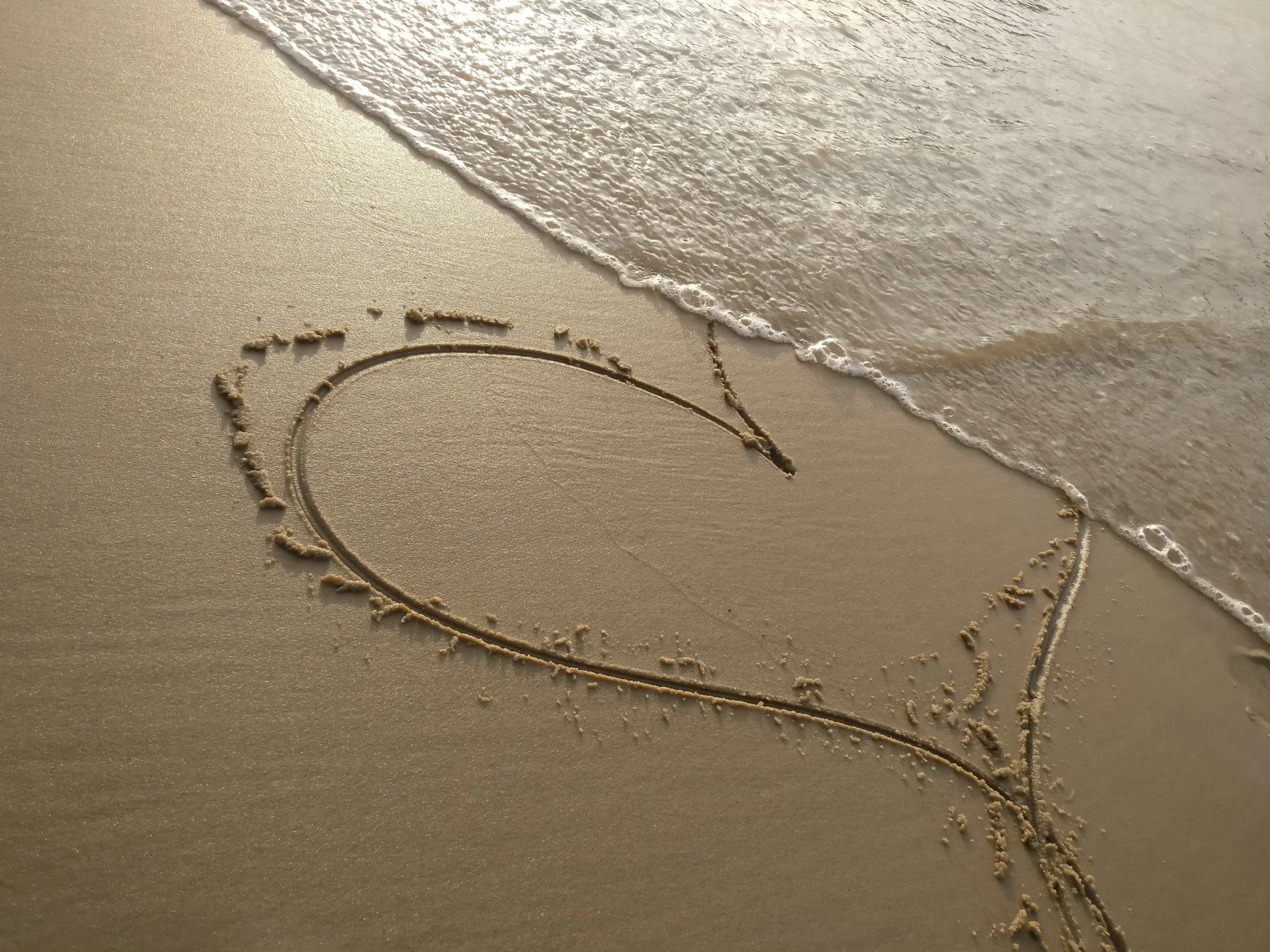 saif-memon-V0mAi8dmPCs-unsplash