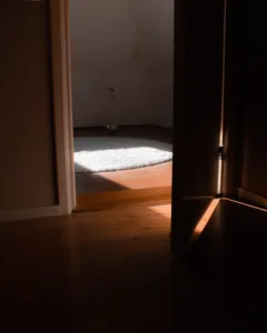 sebastiaan-stam-WERTbxOEv4E-unsplash