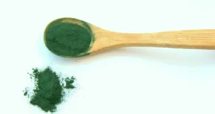 spirulina 1829080 1280