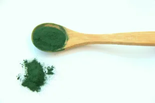 spirulina 1829080 1280