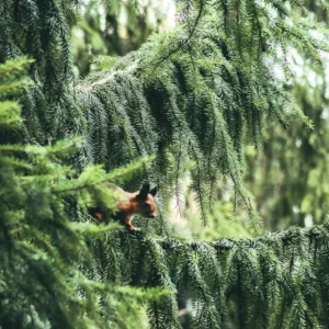 20210929170135__MG_0044