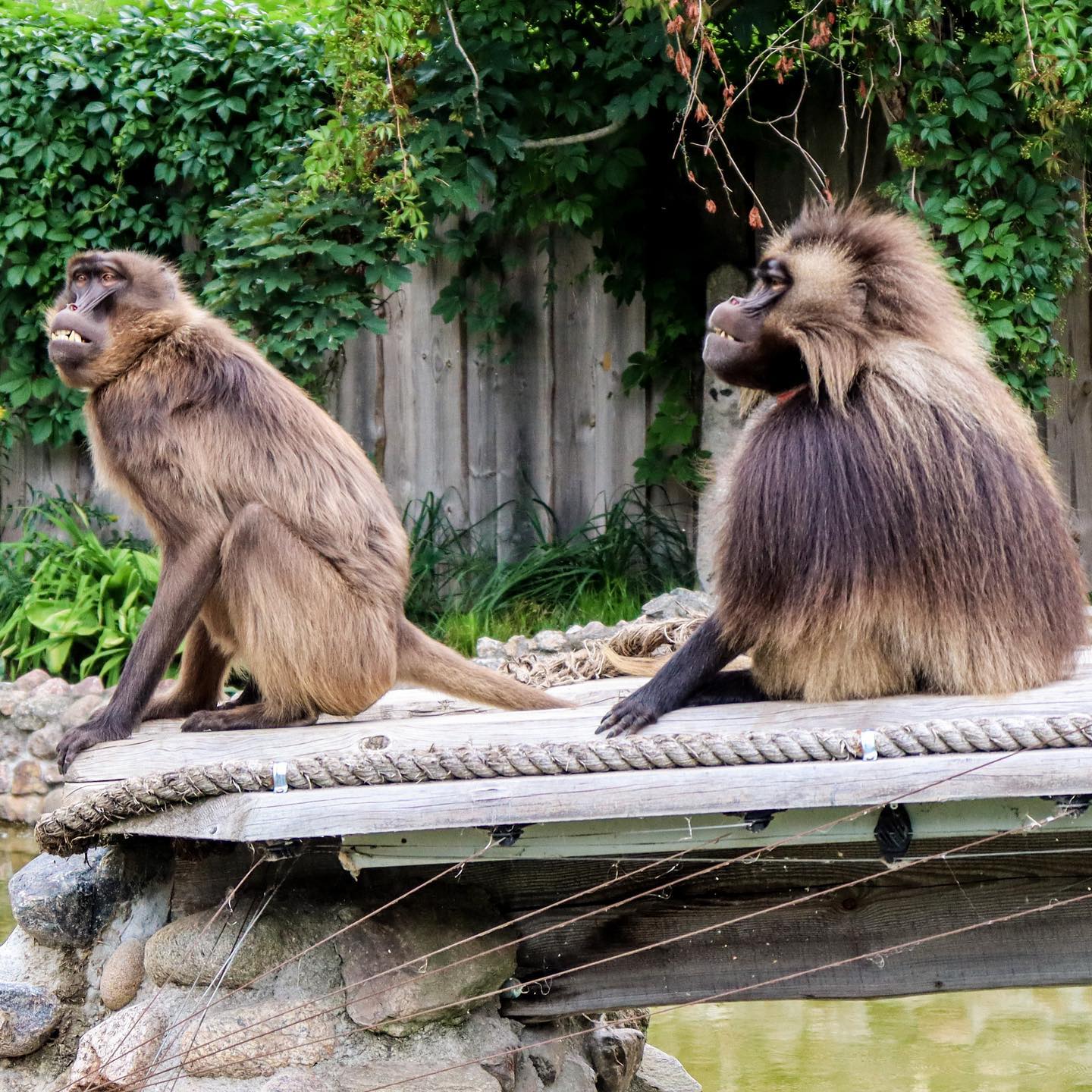 365654731_737443861725996_1697393067650298971_n