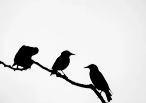 383561300_1048752256487777_7459815662545039739_n