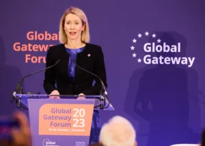 53289101496_1e46afdcdf_c