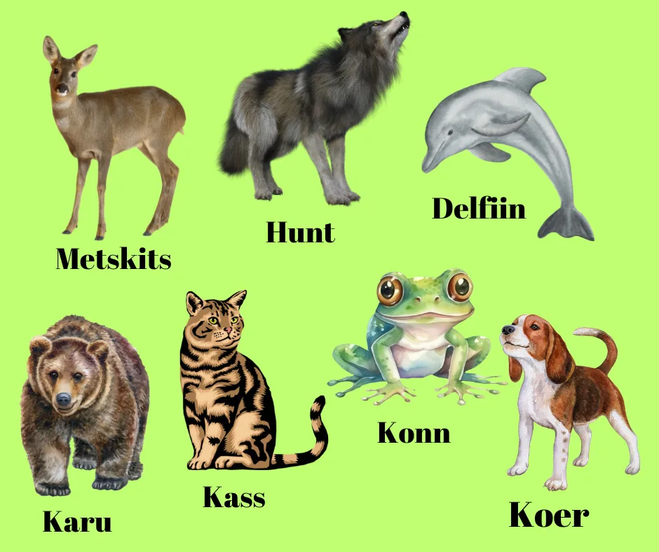 Metskits
