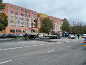 Tormiga-rebenenud-katus_7.10_2820