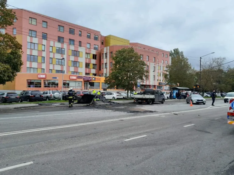 Tormiga-rebenenud-katus_7.10_2820