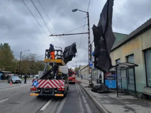 Tormiga-rebenenud-katus_7.10_4822