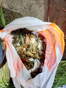 Vahid_foto-Keskkonnaamet