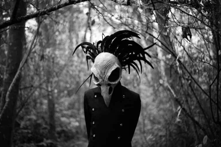 bird-skull-4433244_1280