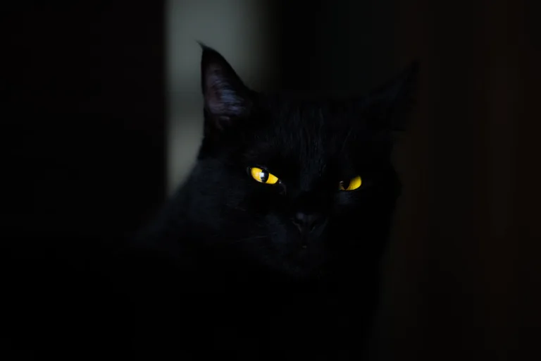 eduardo-mallmann-3LPGWASiSbM-unsplash