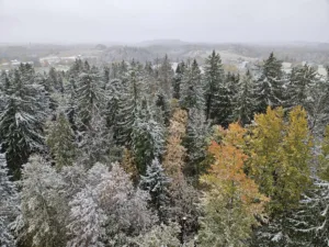 vaade Suurel Munamäel_keskkonnaamet_Leelo Kukk